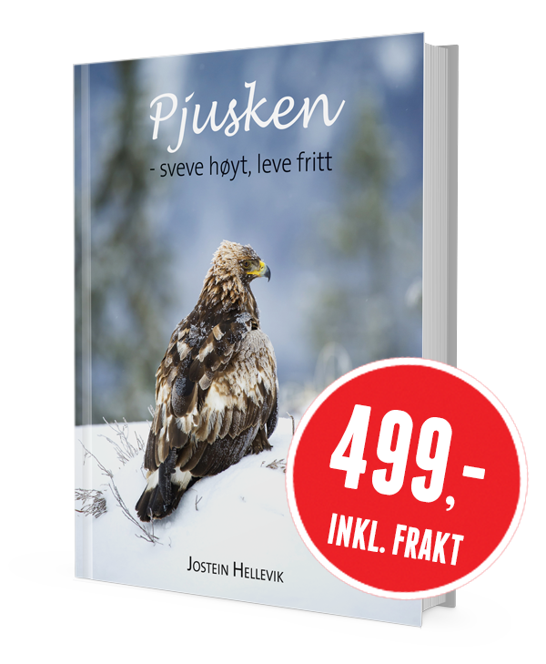 pjuskenboka499